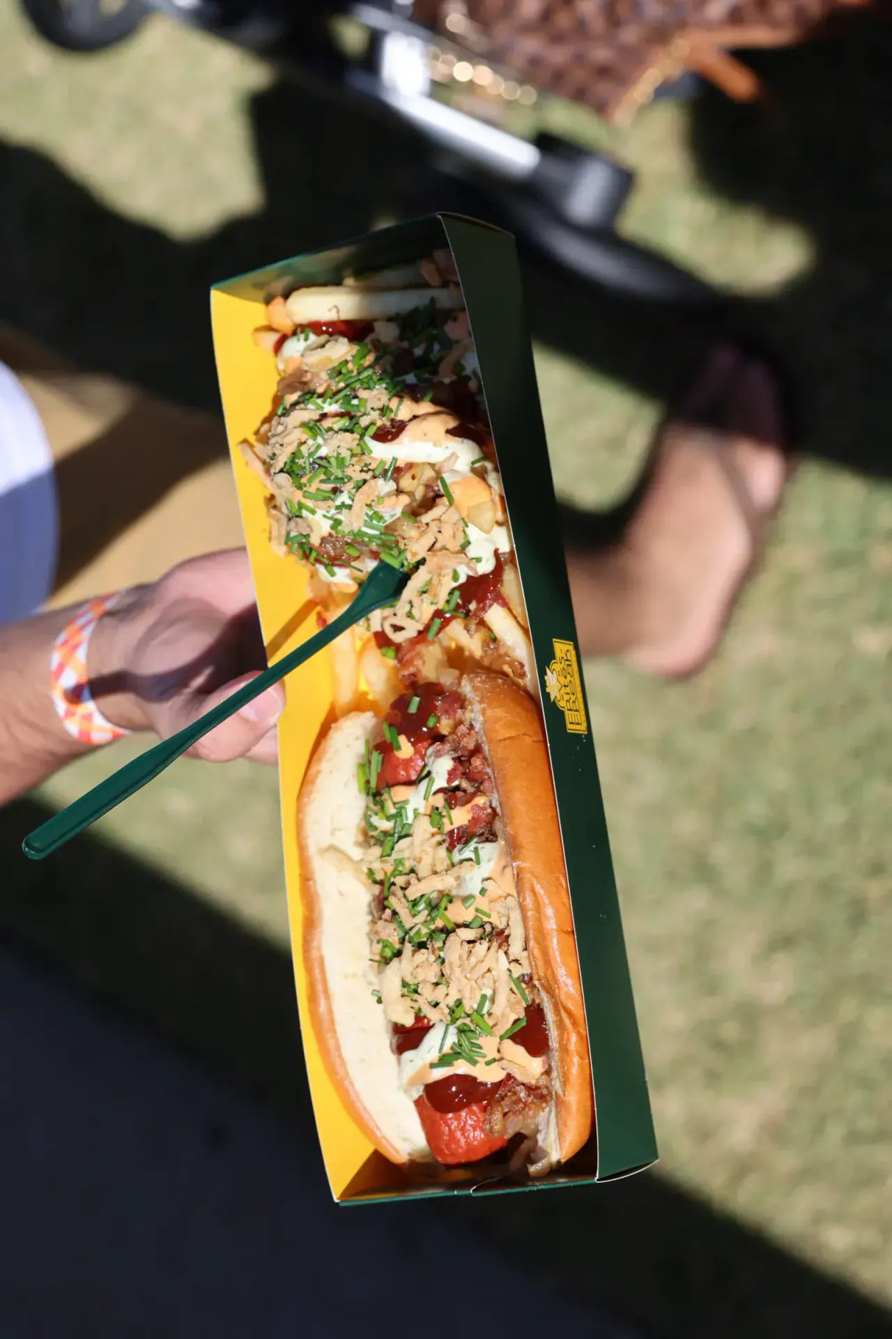 Overhead of the loaded hot dog and frites combo with crispy onions and sauces
